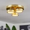 Huallilemu Ceiling Light LED brass, 3-light sources