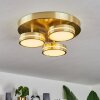 Huallilemu Ceiling Light LED brass, 3-light sources