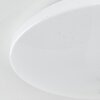 Melres Ceiling Light LED white, 1-light source