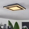 Audrieu Ceiling Light LED black, 2-light sources