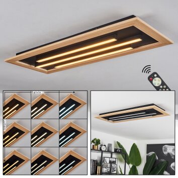 Tojeirinha Ceiling Light LED brown, black, 3-light sources, Remote control