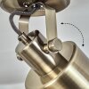 Neves Ceiling Light brass, 2-light sources