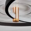 Agordela Ceiling Light LED gold, white, 1-light source