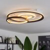 Agordela Ceiling Light LED gold, white, 1-light source