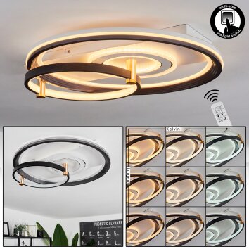 Agordela Ceiling Light LED gold, white, 1-light source