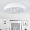 Agodim Ceiling Light LED white, 1-light source
