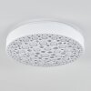 Agodim Ceiling Light LED white, 1-light source