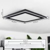 Audrieu Ceiling Light LED black, 2-light sources