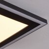 Audrieu Ceiling Light LED black, 2-light sources