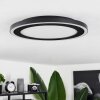 Audrieu Ceiling Light LED black, 2-light sources