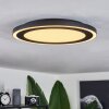 Audrieu Ceiling Light LED black, 2-light sources
