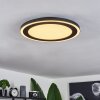 Audrieu Ceiling Light LED black, 2-light sources