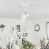 Vouzy Ceiling Light white, 1-light source