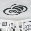 Casaldelo Ceiling Light LED anthracite, 1-light source