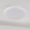Ral Ceiling Light LED silver, white, 1-light source, Remote control, Colour changer