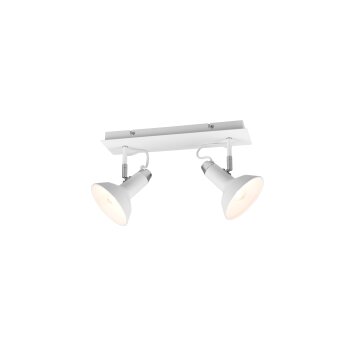 Trio Roxie Ceiling Light, 2-light sources