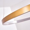 Canisteo Pendant Light LED gold, 1-light source