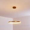 Canisteo Pendant Light LED gold, 1-light source