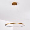 Canisteo Pendant Light LED gold, 1-light source