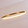 Canisteo Pendant Light LED gold, 1-light source