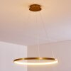 Canisteo Pendant Light LED gold, 1-light source