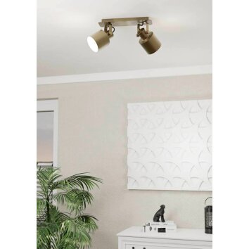 Eglo SOUTHERY Ceiling Light gold, 1-light source