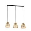 Eglo AYESGARTH Pendant Light black, 3-light sources
