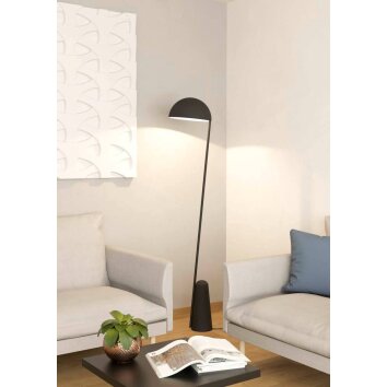 Eglo ARANZOLA Floor Lamp black, white, 1-light source
