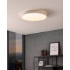 Eglo MONTEMORELOS-Z Ceiling Light LED white, 1-light source, Colour changer