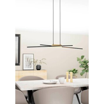 Eglo PANAGRIA Pendant Light LED brown, black, 2-light sources