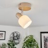 Eglo CORATO Ceiling Light matt nickel, sand-coloured, 1-light source