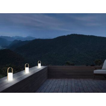 Eglo CUENCA Table lamp LED brown, white, 8-light sources