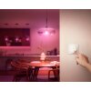 Philips Hue Tap Dial switch white