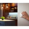 Philips Hue Tap Dial switch white