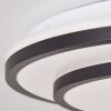 Brilliant Luciano Ceiling Light LED black, white, 1-light source, Remote control