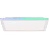 Brilliant Saltery Ceiling Light LED white, 1-light source, Remote control, Colour changer