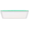 Brilliant Saltery Ceiling Light LED white, 1-light source, Remote control, Colour changer