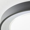 Brilliant Florella Ceiling Light LED black, white, 1-light source, Remote control, Colour changer