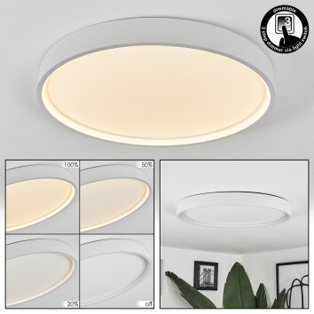 Formigosa Ceiling Light LED white, 1-light source