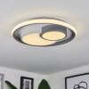 Casqueira Ceiling Light LED grey, white, 1-light source