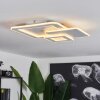 Tomazes Ceiling Light LED white, 1-light source, Remote control