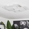 Tomazes Ceiling Light LED white, 1-light source, Remote control