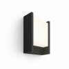 Philips Hue White Fuzo Outdoor Wall Light LED black, 1-light source