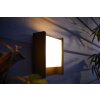 Philips Hue White Fuzo Outdoor Wall Light LED black, 1-light source