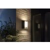 Philips Hue White Fuzo Outdoor Wall Light LED black, 1-light source