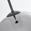 Koyoto  Pendant Light glass 25 cm clear, Smoke-coloured, 1-light source