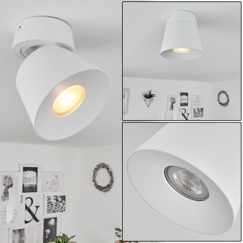Especiosa Ceiling Light white, 1-light source