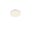 Trio Waco Ceiling Light LED white, 1-light source