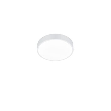 Trio Waco Ceiling Light LED white, 1-light source
