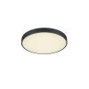 Trio Waco Ceiling Light LED black, 1-light source